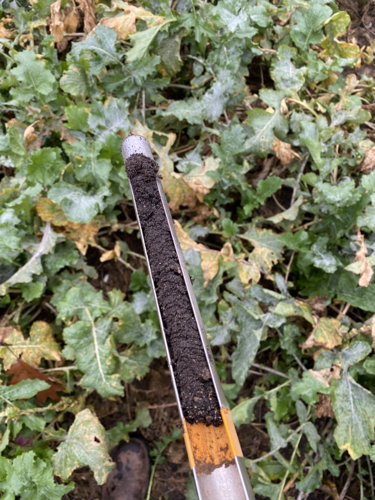 Vertical soil sample.png